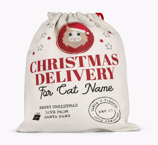 'Christmas Delivery' - Personalized {breedCommonName} Santa Sack
